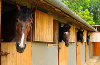 free Glenhurich stable construction quotes